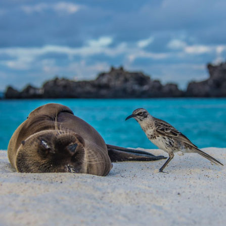 galapagos Sky