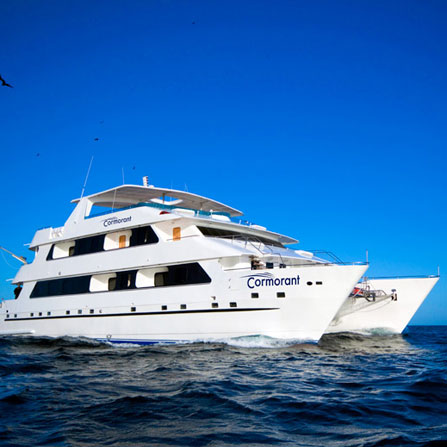 Cormorant Cruise