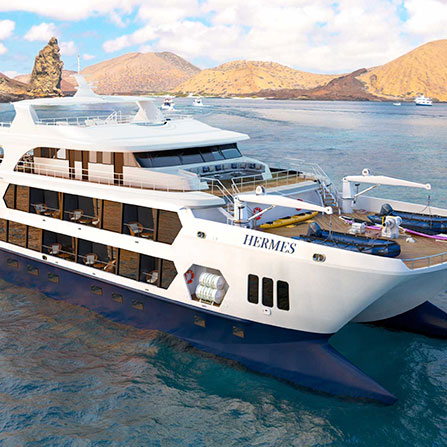 Hermes Luxury Catamaran