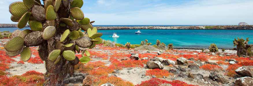 anahi yacht galapagos