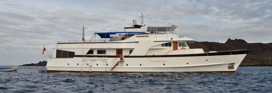 Beluga - Motor Yacht
