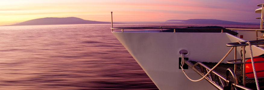 Cormorant Catamaran