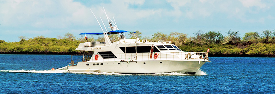 M/C Endemic Galapagos Catamaran