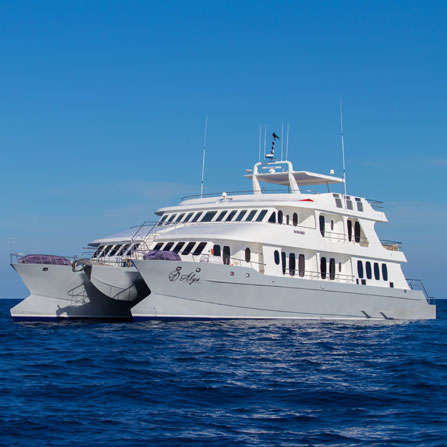 M/Y Natural Paradise